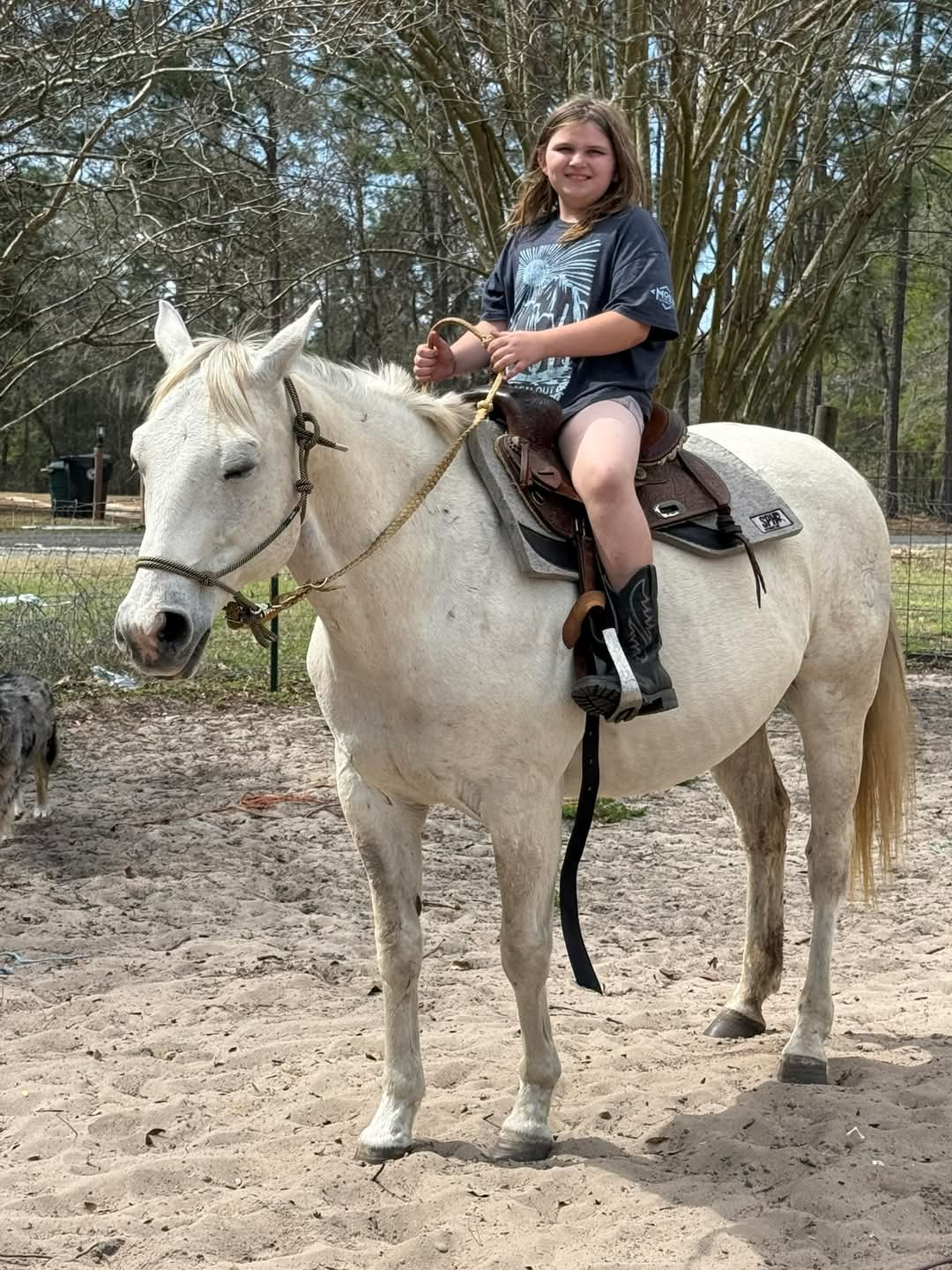 Horseback riding lessons available in Keystone Heights, FL.