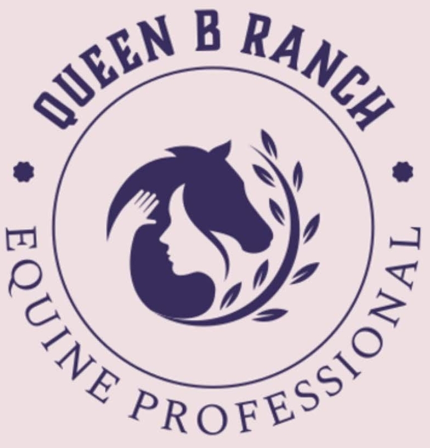 Queen B Ranch - Sheath Cleaning, Udder Cleaning, Western Saddle Fitting, Horseback Riding Lessons and Equine Massage in Florida.